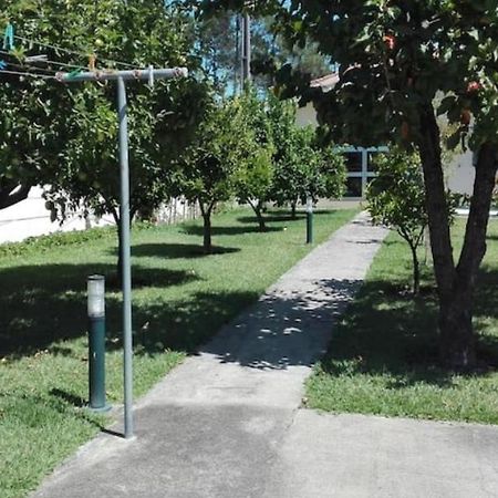 Casa Da Cavada Βίλα Caminha Εξωτερικό φωτογραφία
